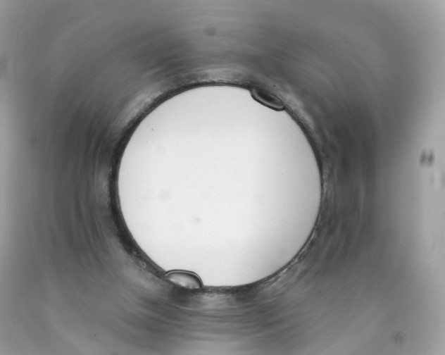 X0000089830154200707262031