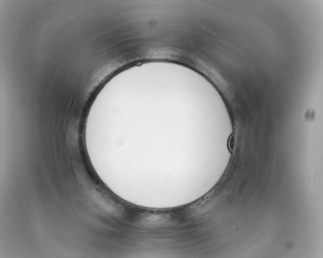 X0000089830155200707262031