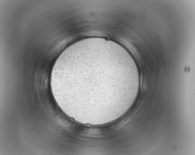 X0000089830157200707262031