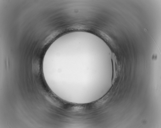 X0000089830158200707262031