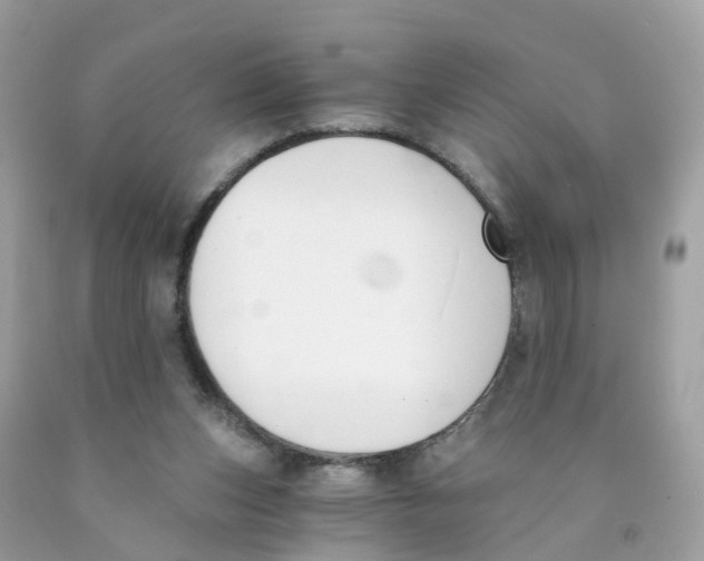 X0000089830159200707262031