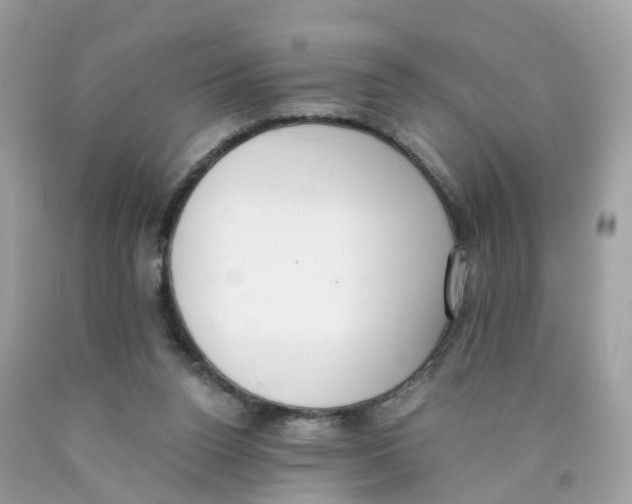 X0000089830160200707262031