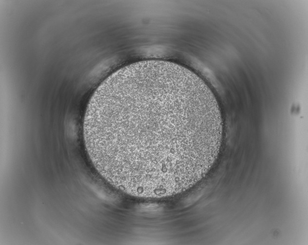 X0000089830161200707262031
