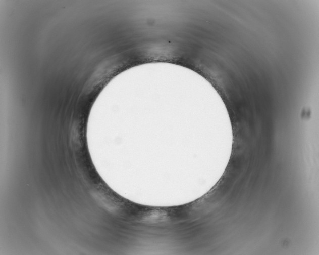 X0000089830162200707262031