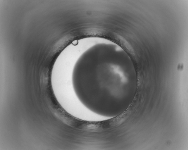 X0000089830163200707262031