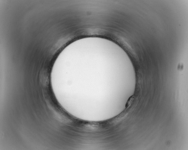 X0000089830164200707262031