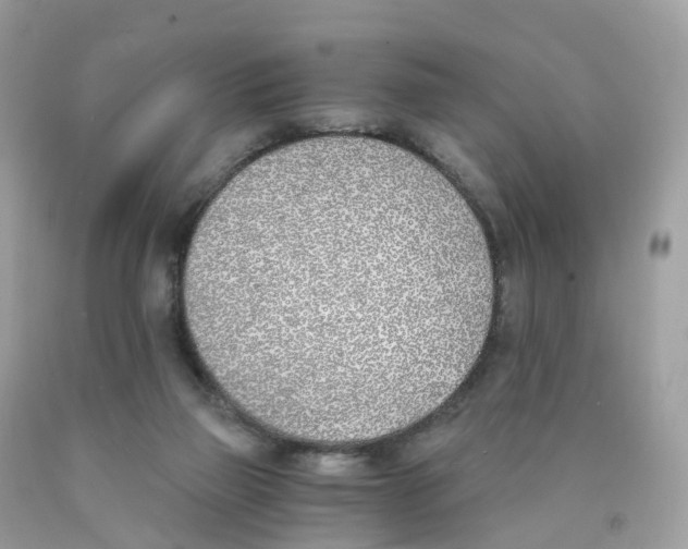 X0000089830165200707262031