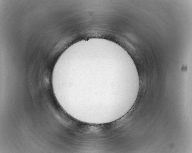 X0000089830166200707262031