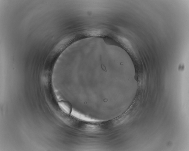 X0000089830167200707262031
