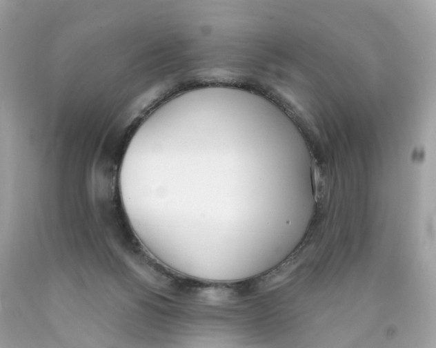 X0000089830168200707262031