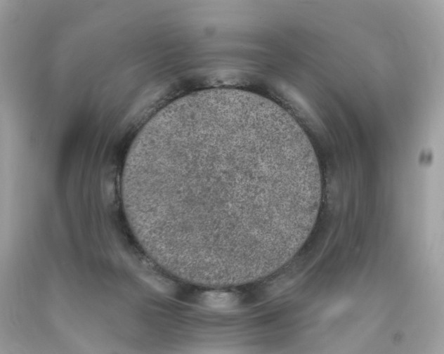 X0000089830169200707262031