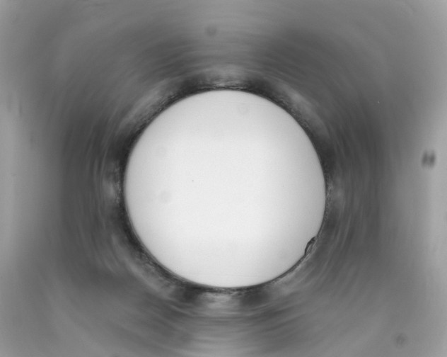 X0000089830170200707262031