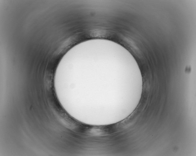 X0000089830171200707262031