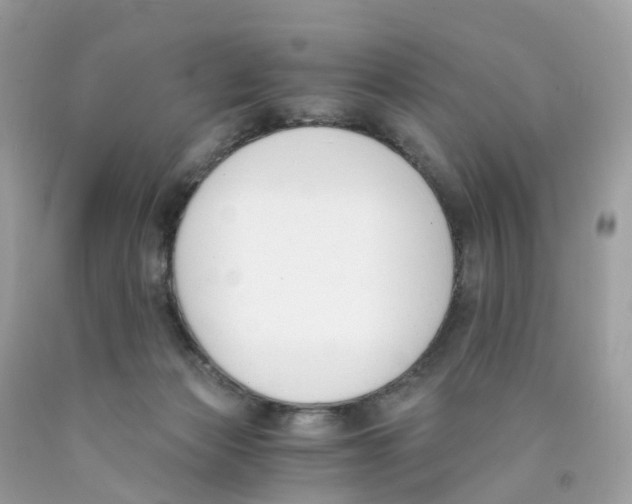 X0000089830173200707262031