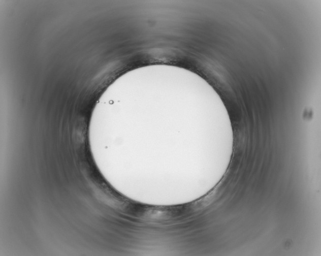 X0000089830174200707262031
