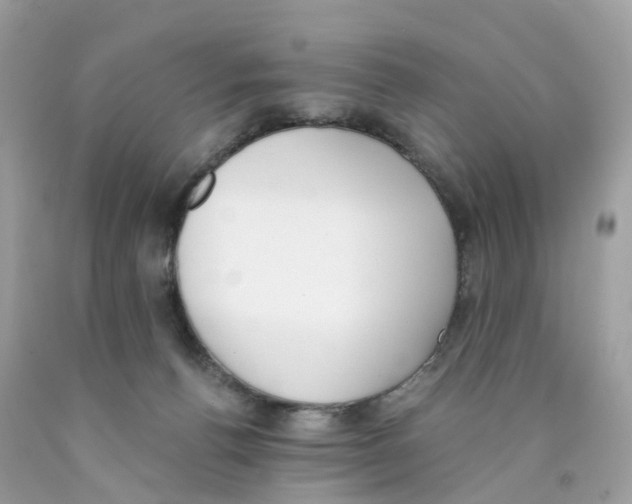 X0000089830176200707262031