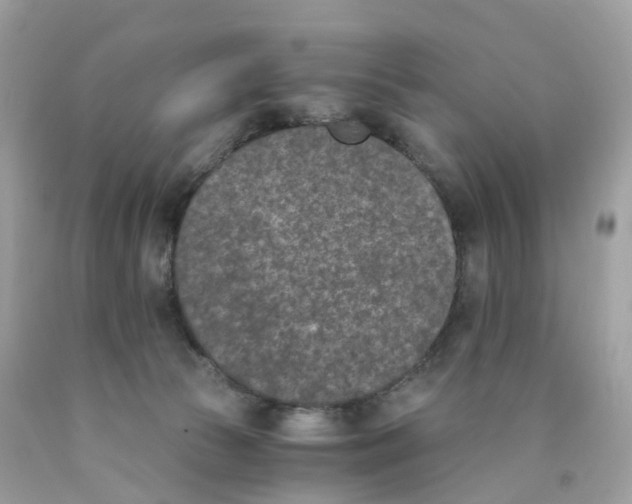 X0000089830177200707262031