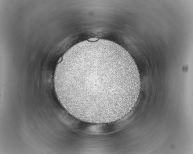 X0000089830178200707262031