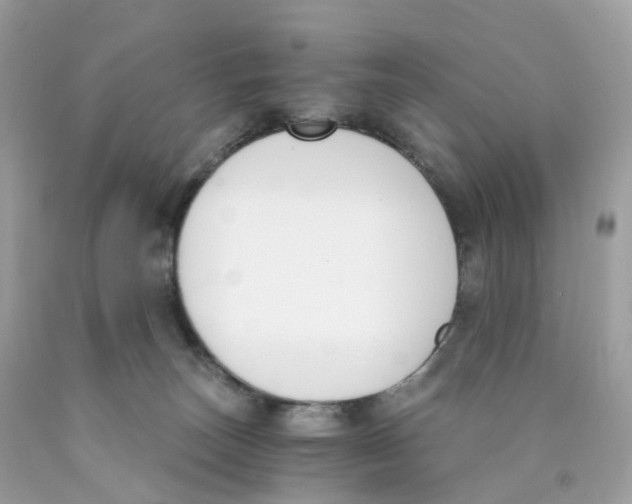 X0000089830179200707262031