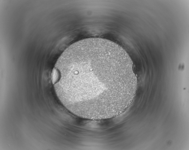 X0000089830182200707262032