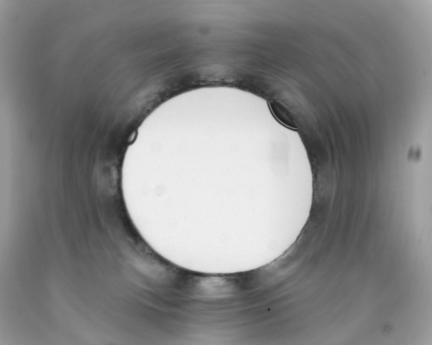 X0000089830183200707262032