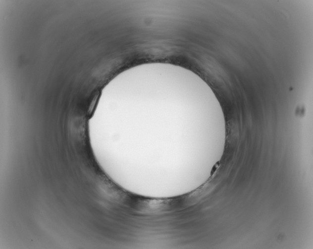 X0000089830184200707262032
