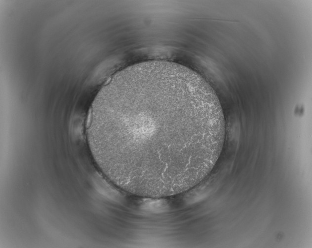 X0000089830185200707262032