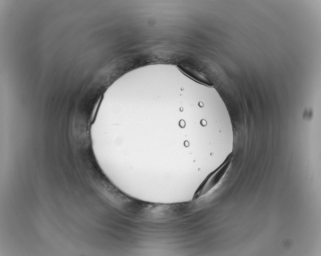 X0000089830186200707262032