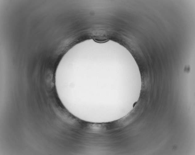 X0000089830187200707262032