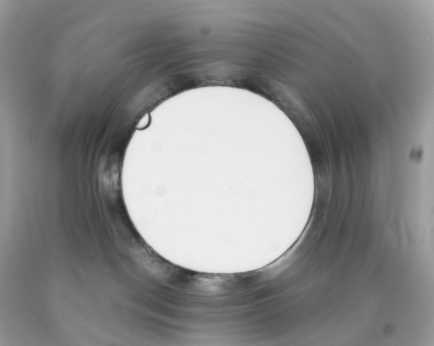 X0000089830190200707262032