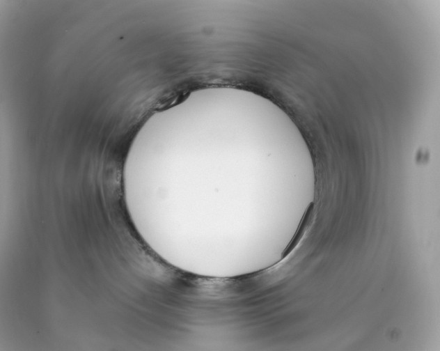 X0000089830192200707262032