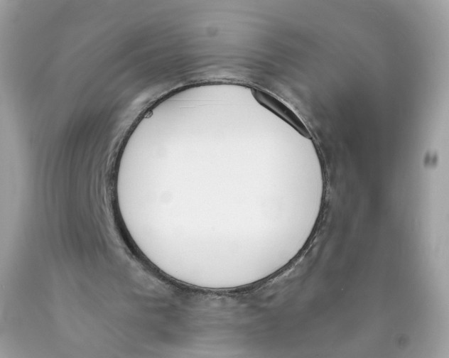 X0000089830193200707262031