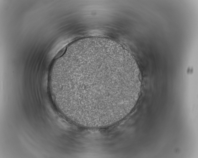 X0000089830194200707262031