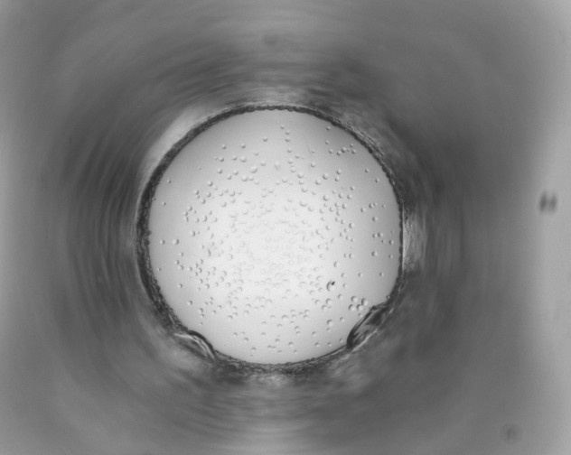 X0000089830195200707262031