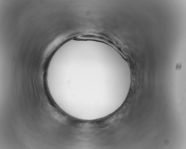 X0000089830197200707262031