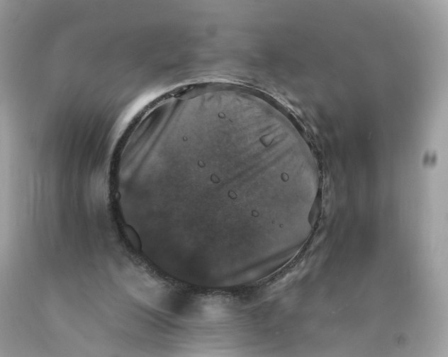 X0000089830200200707262031