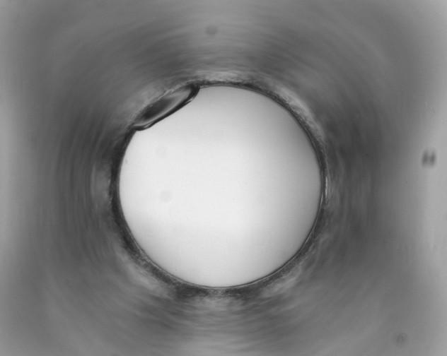 X0000089830201200707262031