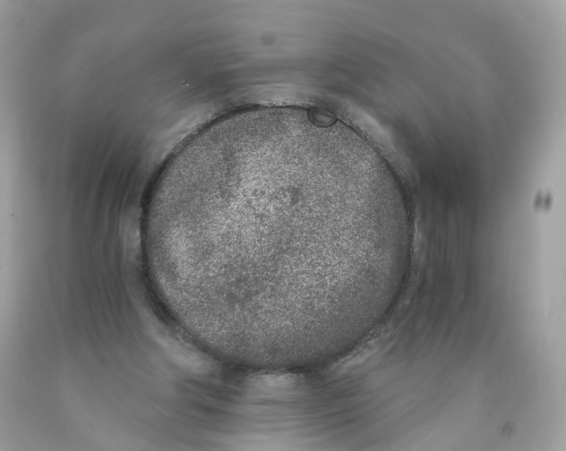 X0000089830202200707262031