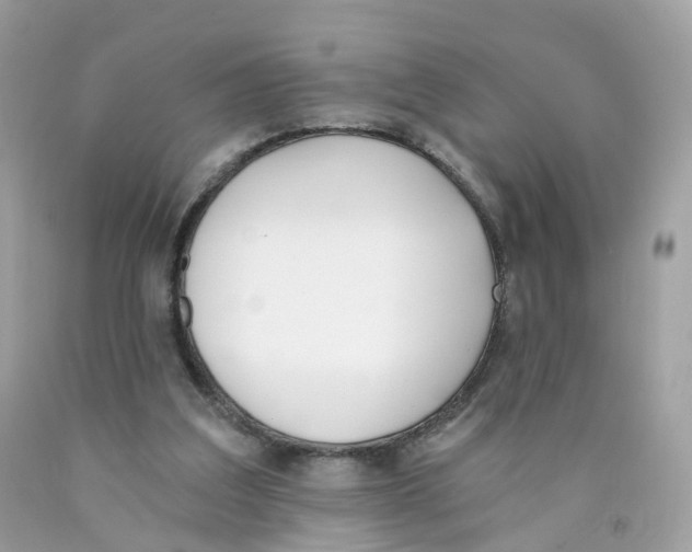 X0000089830203200707262031