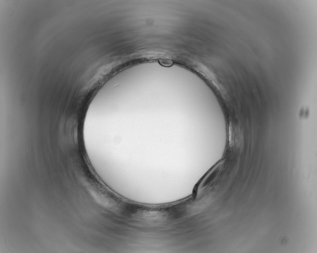 X0000089830205200707262031