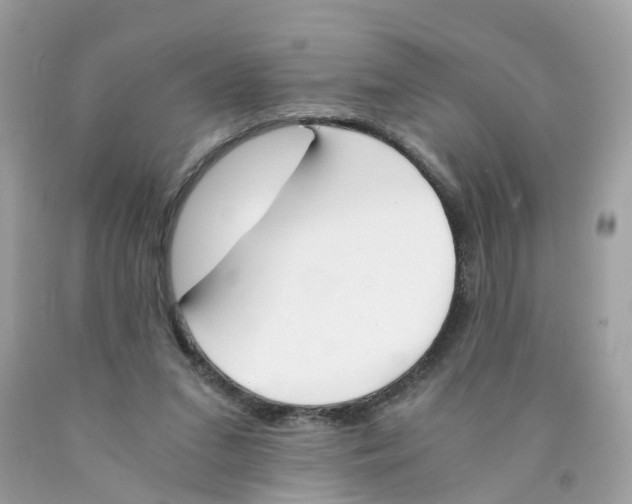 X0000089830207200707262031
