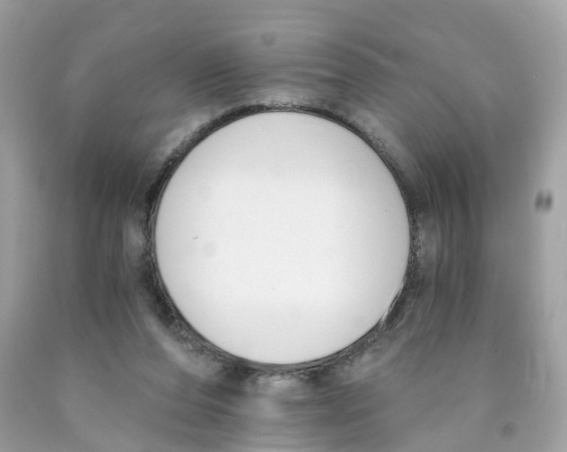 X0000089830208200707262031