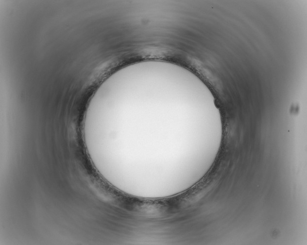 X0000089830209200707262031
