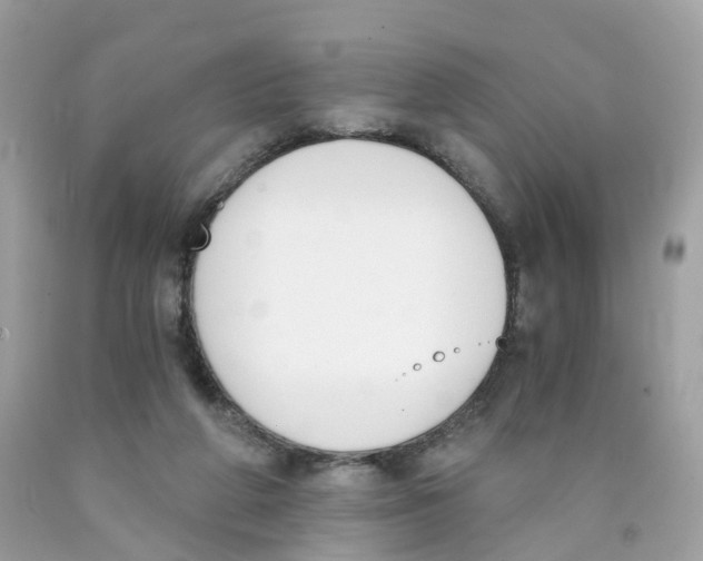 X0000089830210200707262031