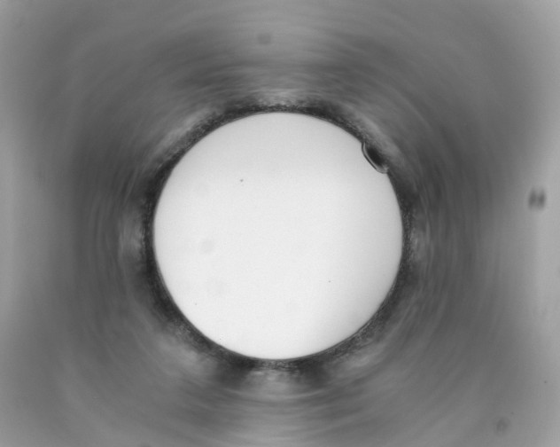 X0000089830211200707262031