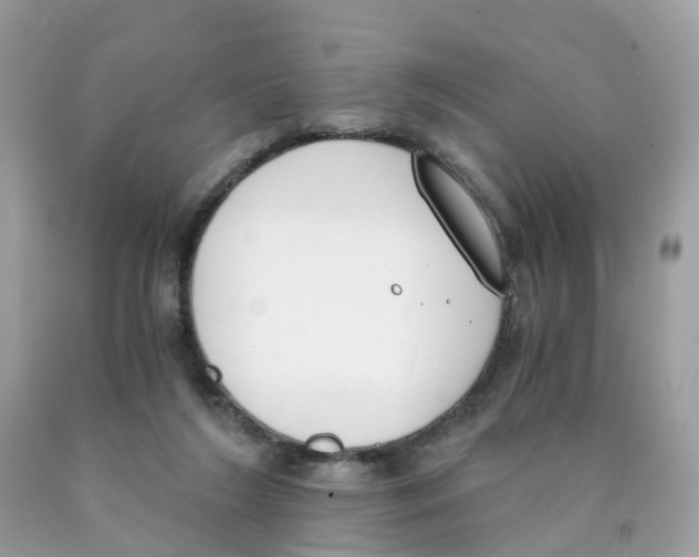 X0000089830212200707262031