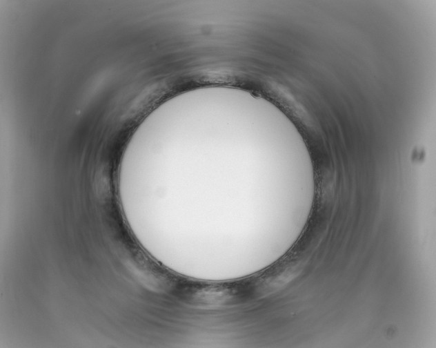 X0000089830213200707262031