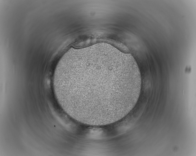 X0000089830214200707262031