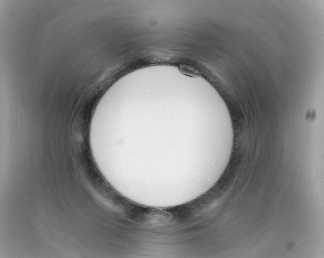 X0000089830215200707262031