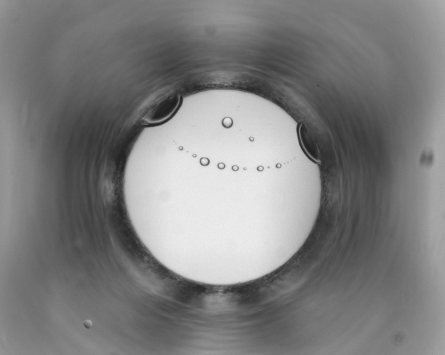 X0000089830216200707262031